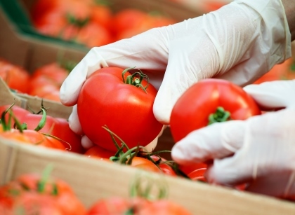 Building confidence in regional trade through food inspection in Central America and Dominican Republic