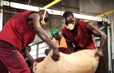 Coordinating regional SPS strategies to accelerate trade in Africa