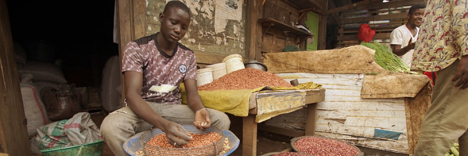 Exploring SPS technical assistance in Francophone Africa