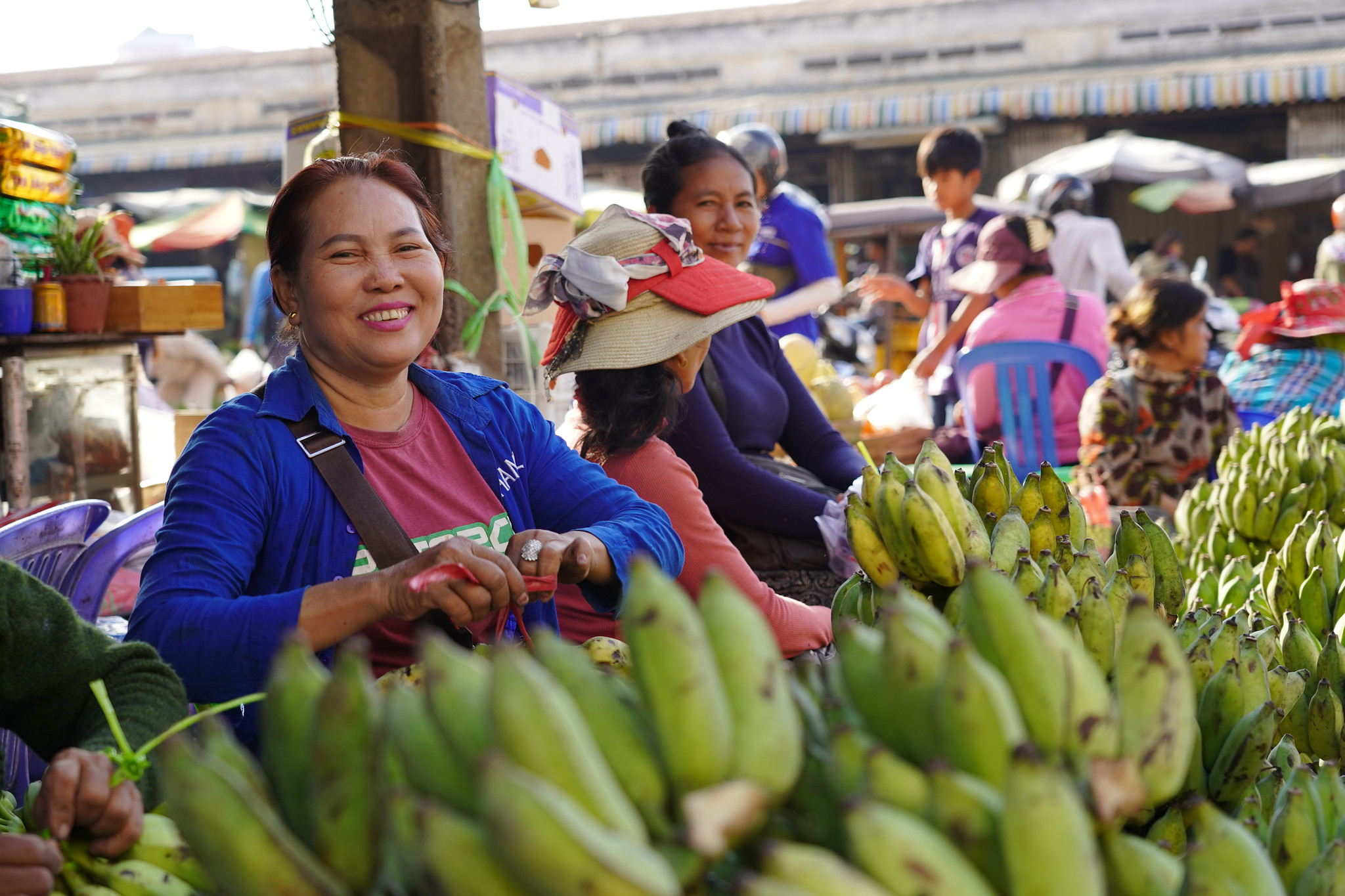 Strengthening global food systems: Updates from the STDF
