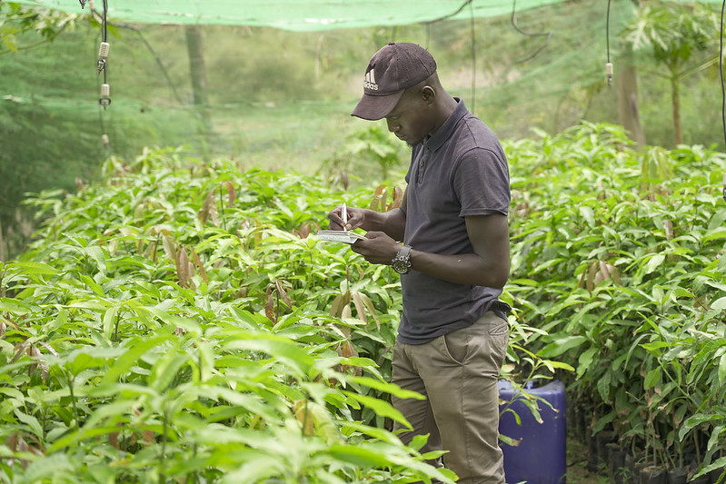Assessing the centre of phytosanitary excellence (COPE) to scale phytosanitary capacity and increase market access in Africa