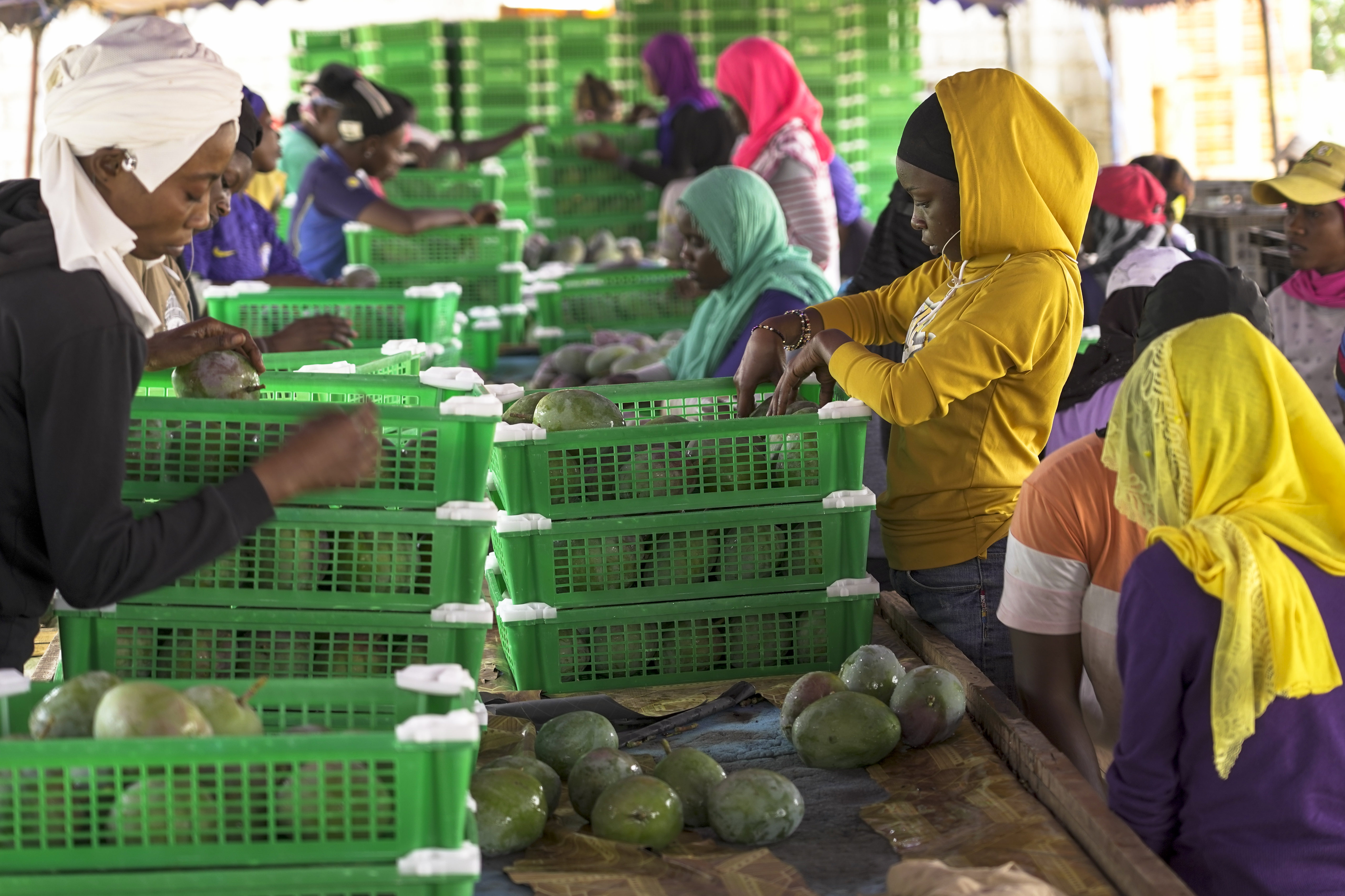 Global Standards, Local Impact: Unlocking Markets through  Science and Innovation