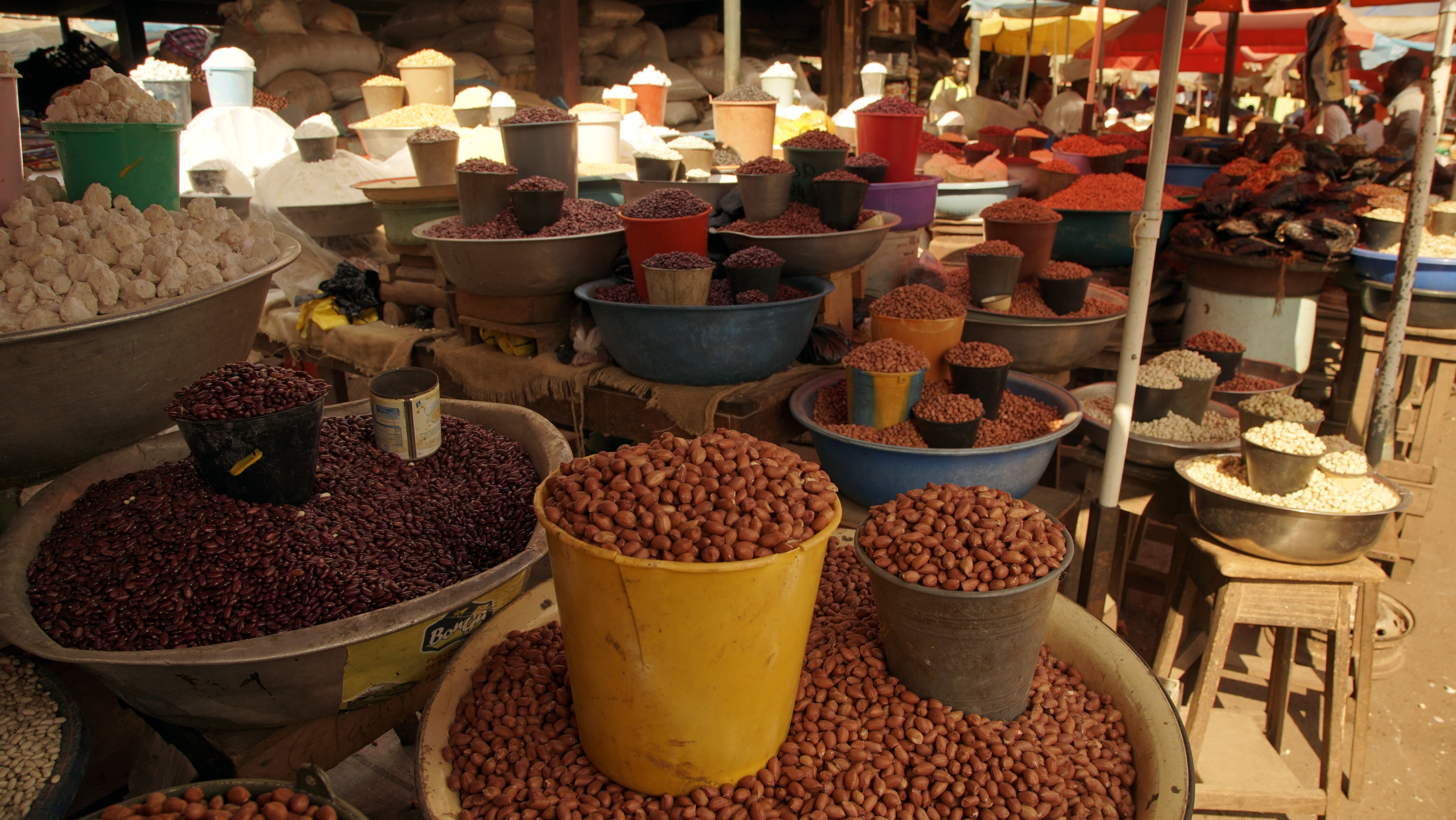 Strengthening Cashew and Sesame Export Capacity in Burkina Faso (RECEAS) 