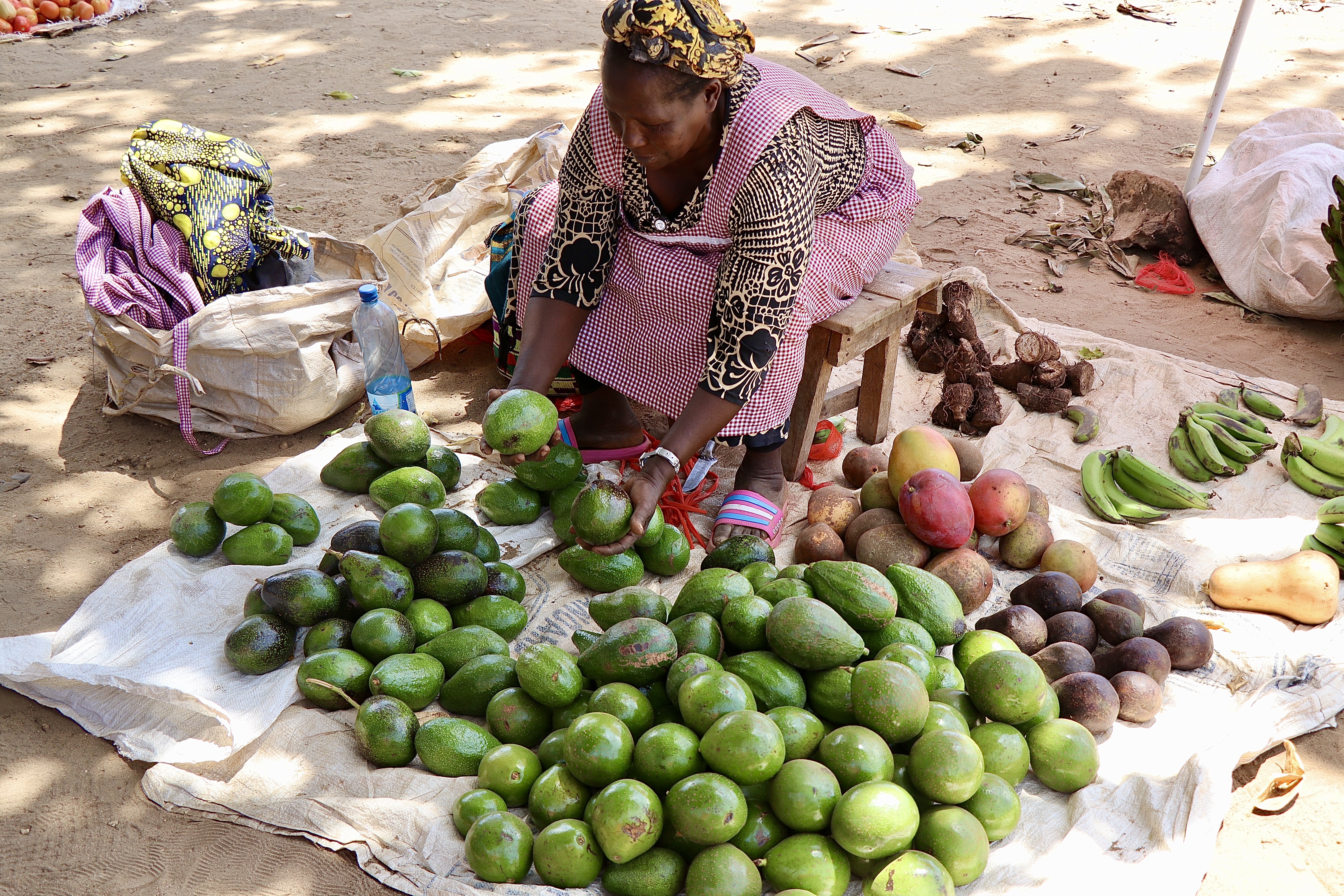 Regionalizing Innovation: Scaling Biopesticide Approaches to Facilitate Safe Trade
