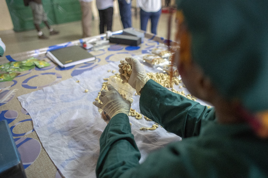 Enhancing Food Safety Practices to Unlock Market Access for Gambian Cashew