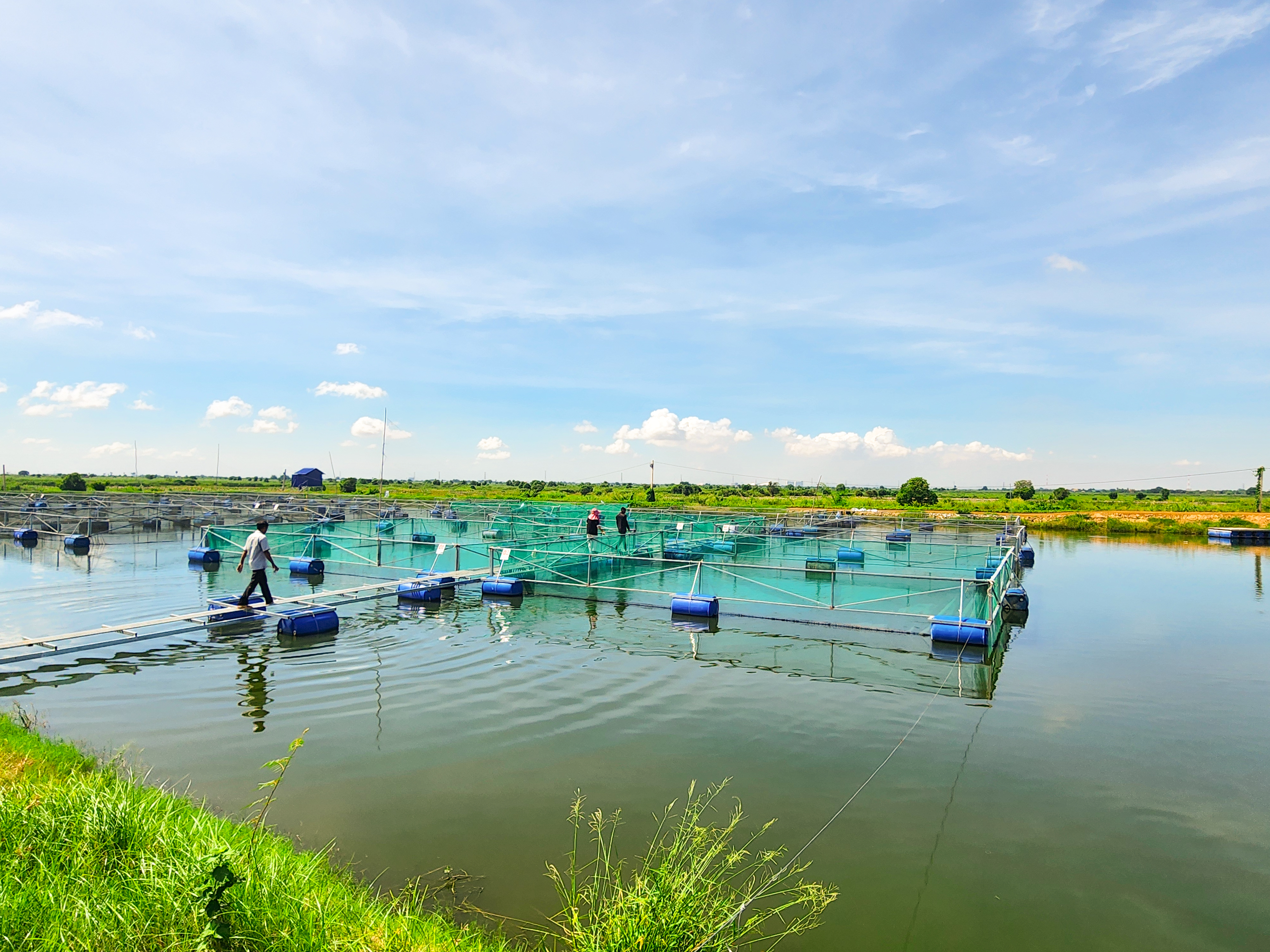 More efficient audit and verification practices to facilitate food trade in Cambodia, Indonesia and the Philippines