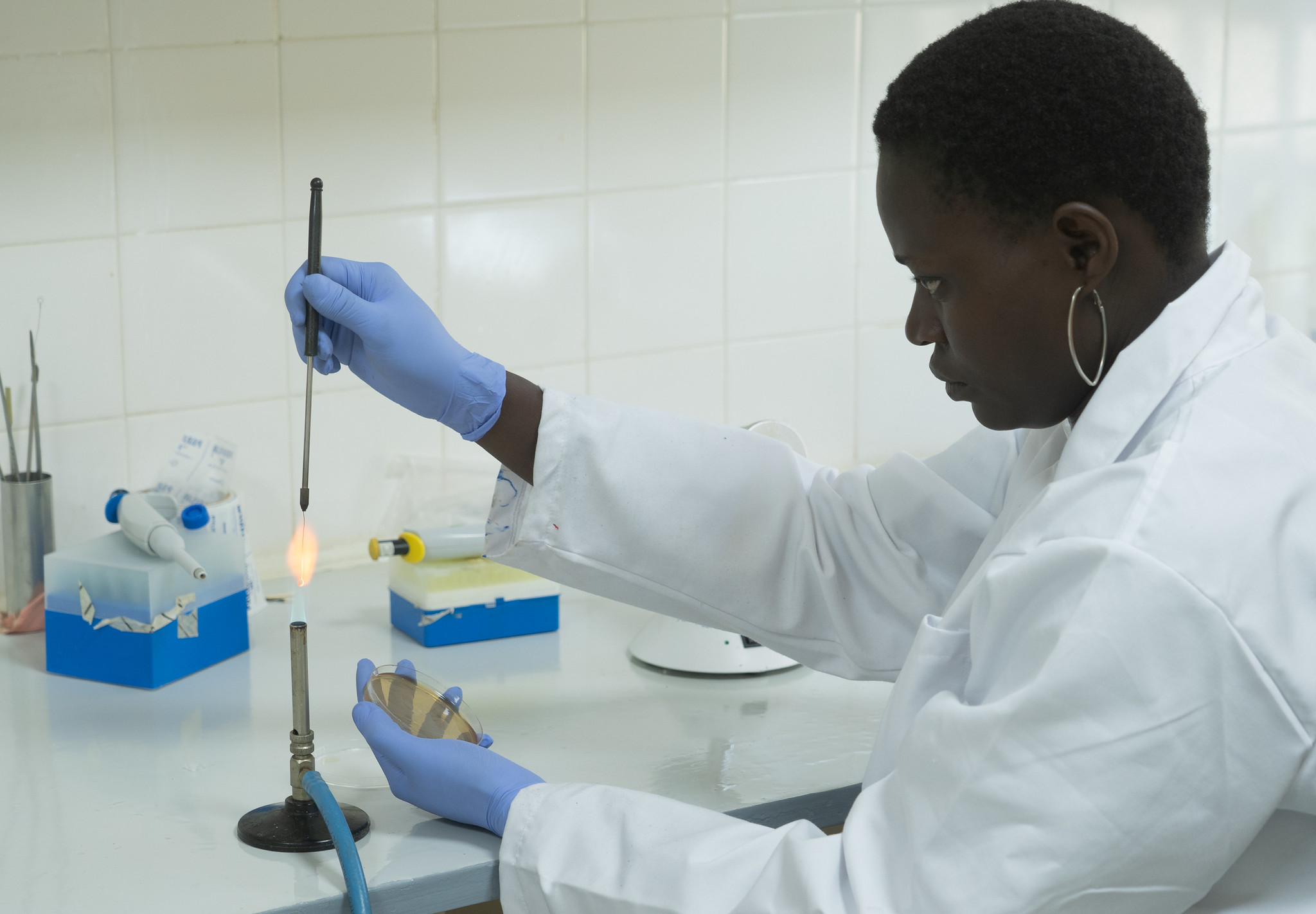 Using digital tools to facilitate safe food trade in West Africa