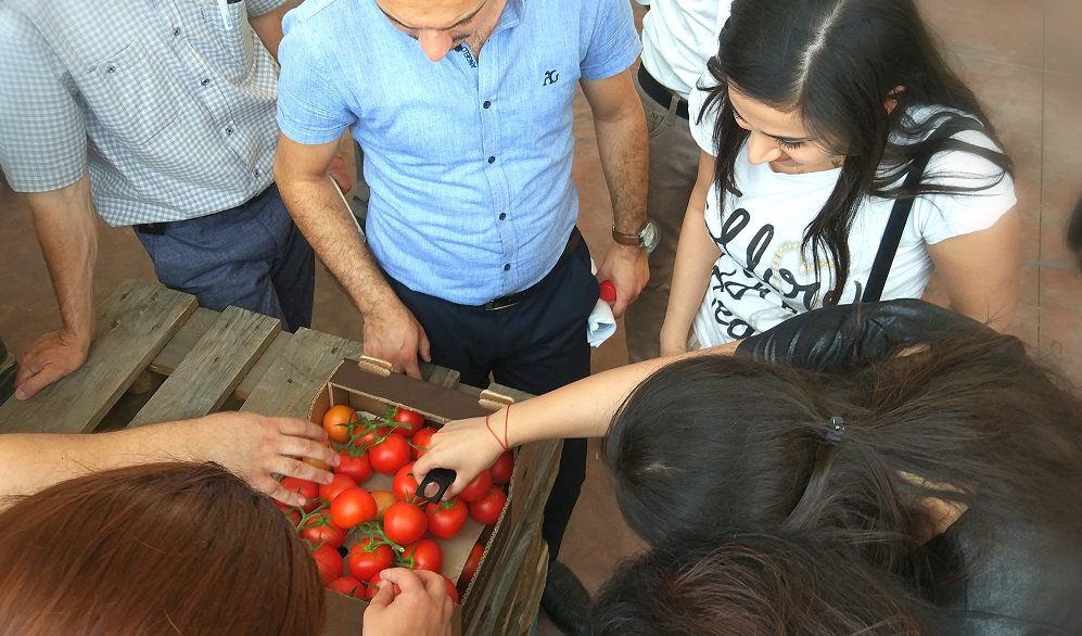 Strengthening phytosanitary border controls