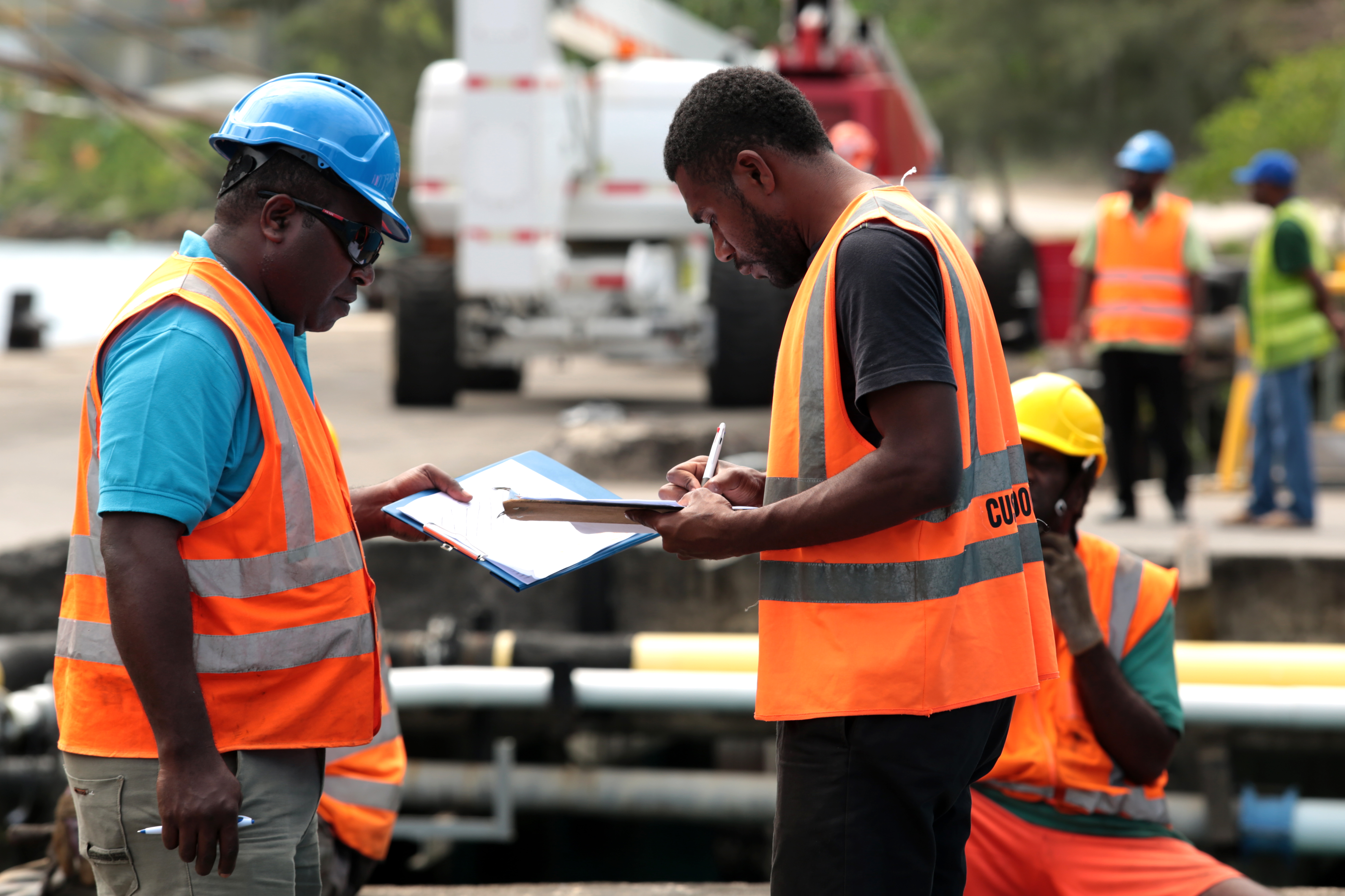 Harmonizing the phytosanitary legislation framework in Central Africa