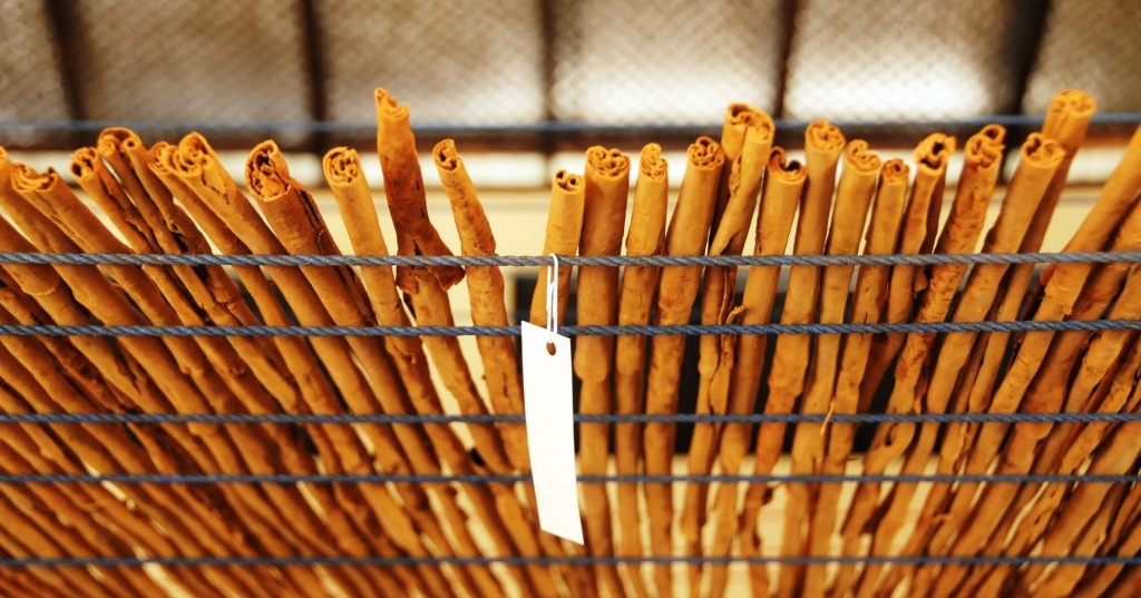 Enhancing capacity in the cinnamon value chain