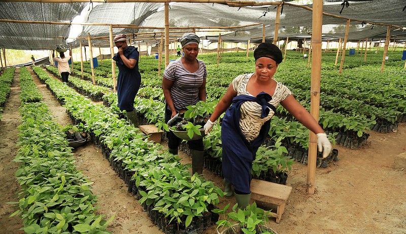Regional Centre of Phytosanitary Excellence 