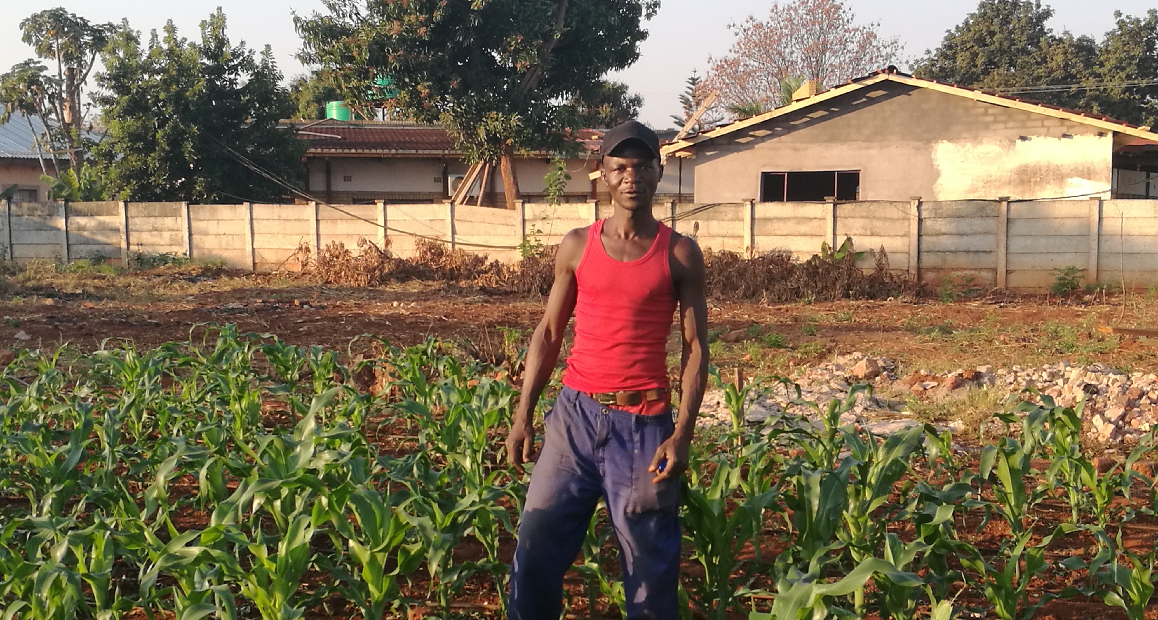 Harmonizing regulations and mitigating pesticide residues in the SADC region
