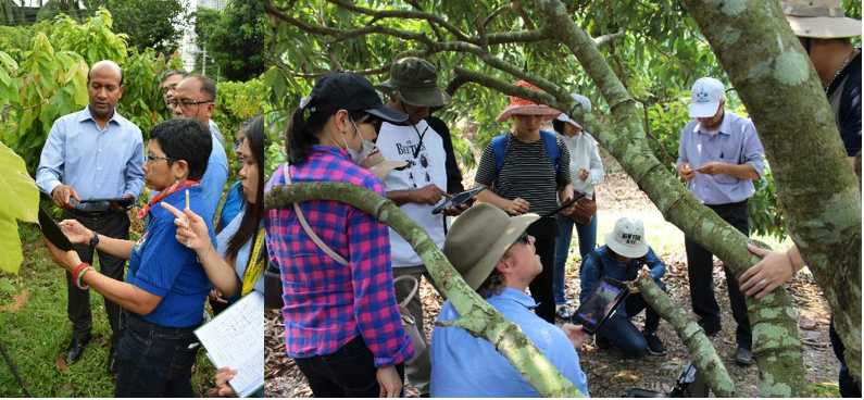 Promoting IT solutions for pest surveillance and reporting in the Asia-Pacific region