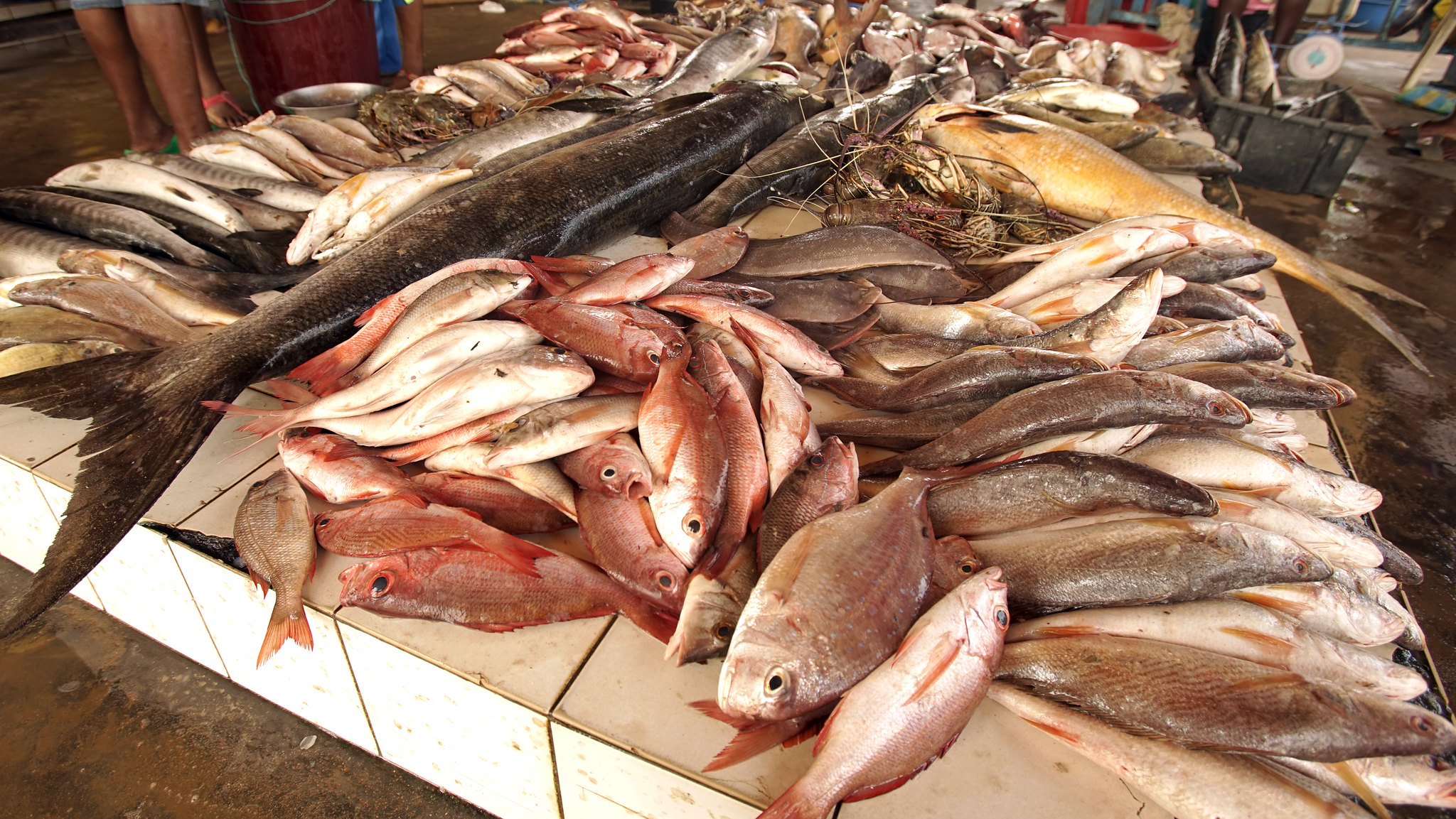 Facilitating Increased Trade of One-by-One Tuna in Indonesia and Malaysia 