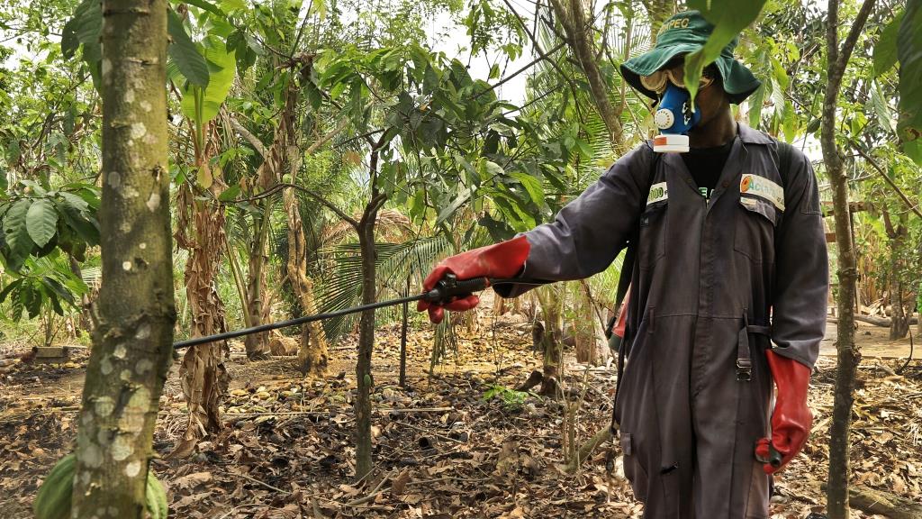 Strengthening capacity in Africa to meet pesticide export requirements