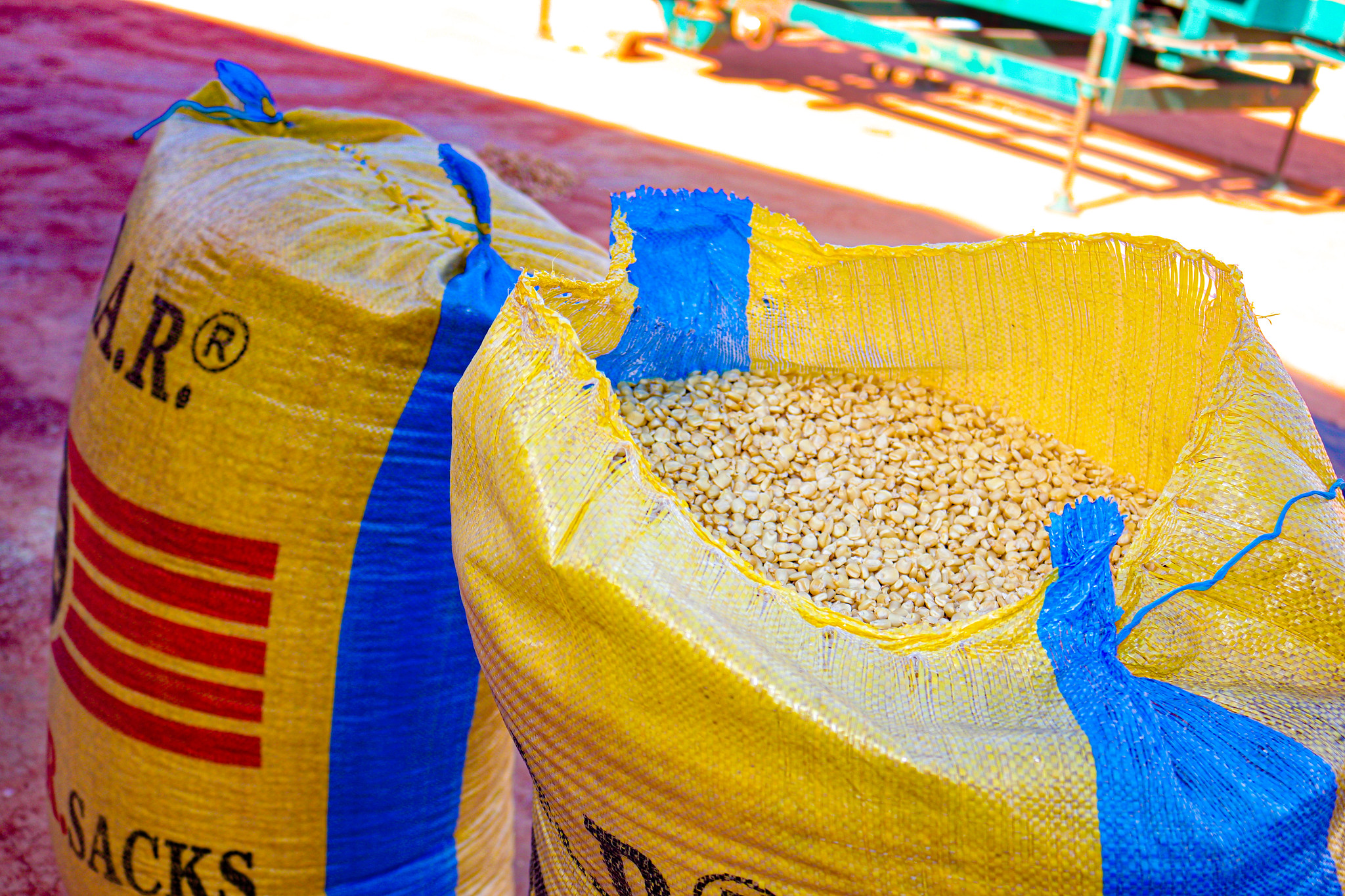 Enhancing aflatoxin management in Ghana's maize and groundnuts